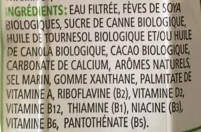 Lista de ingredientes del producto Boisson de soya au chocolat Natura 200 ml