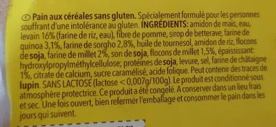 Lista de ingredientes del producto Pains aux céréales sans gluten  