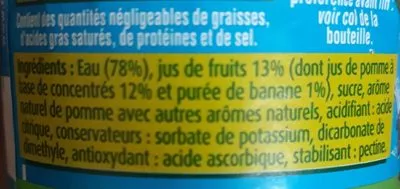 Lista de ingredientes del producto Fruit shoot pomme banane Teisseire, Fruit Shoot 20cL