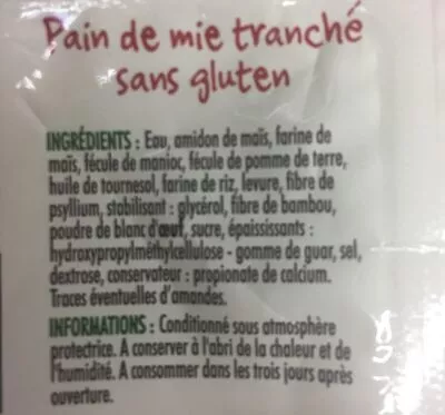 Lista de ingredientes del producto Pain de Mie sans Gluten Regain 