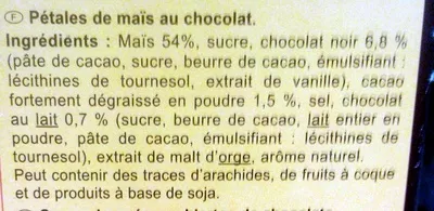 Lista de ingredientes del producto Copos de maíz Choco Carrefour 500 g