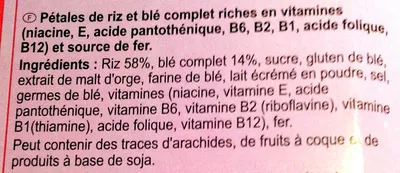 Lista de ingredientes del producto Stylesse Nature Carrefour 500 g