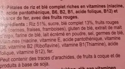 Lista de ingredientes del producto Stylesse Fruits rouges Carrefour 500 g