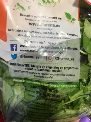 Lista de ingredientes del producto DUO canónigo + rúcula Florette 