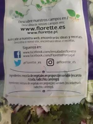 Lista de ingredientes del producto Gourmet original Florette 