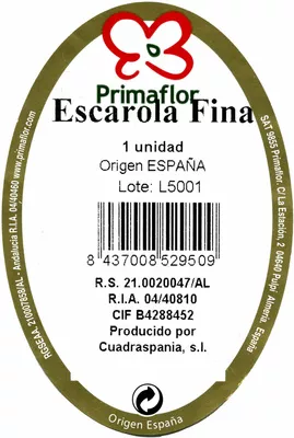 Lista de ingredientes del producto Escarola frisee tarrina Primaflor 1 pieza