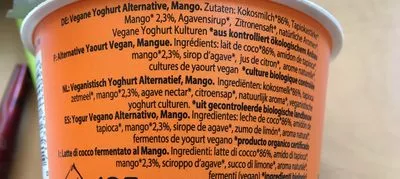 Lista de ingredientes del producto Mango Happy Coco 