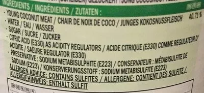 Lista de ingredientes del producto Chair de noix de coco au sirop léger Twin Elephants and Earth brand 425 g - égoutté : 180 g