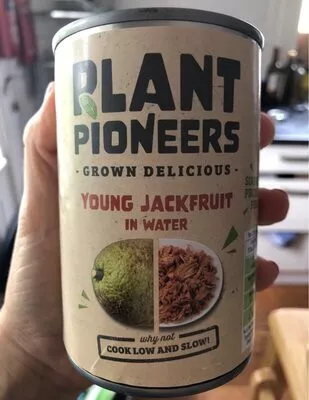 Young jackfruit in water Sainsbury's,  Sainsburys 400 g, code 00375689