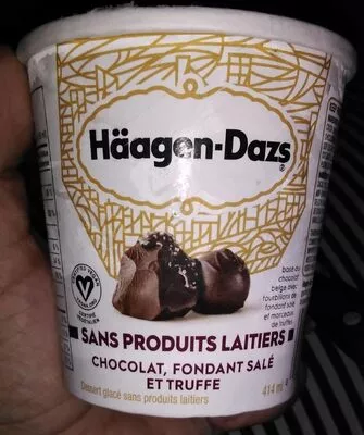 Chocolate Salted Fudge Truffle Häagen-Dazs , code 0055000377331