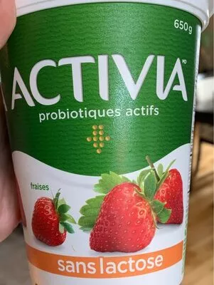 Activia sans lactose Danone,  Activia 650g, code 0056800091298