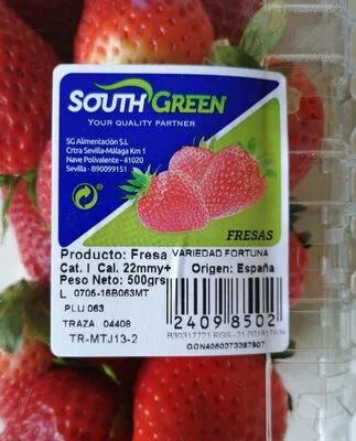 Fresas South Green 500 g, code 24098502