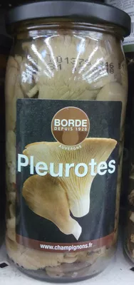 Pleurotes Borde 330 g (égoutté : 185 g) 370 ml, code 3112300231514