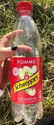 Blle Pet 50CL Schweppes Pomme Schweppes 50 cL, code 3124480181183