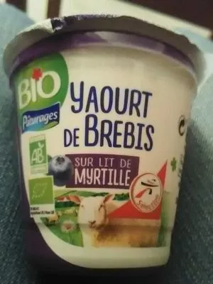 Yaourt de brebis sur lit de myrtilles Paturages 250 g (2x125 g), code 3250392553678