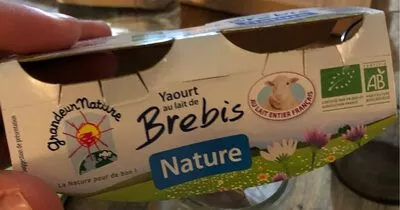 Yahourt au lait de brebis Grandeur Nature 250 g (2x125g), code 3252920037506