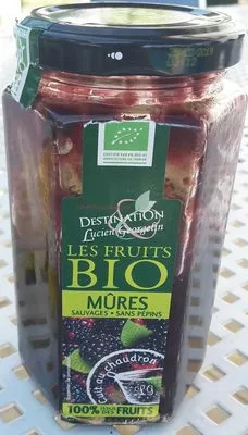 Les fruits Bio Mûres Destination, Lucien Georgelin 300g, code 3330724201252