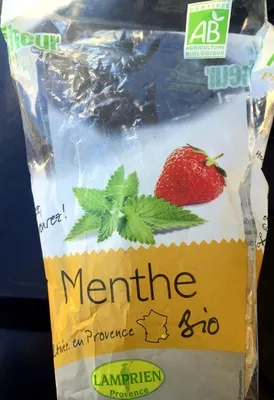 Menthe Lamprien, Lamprien Provence 1 pot, code 3333313202043