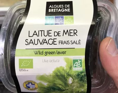 Laitue de mer sauvage frais salé Algues de Bretagne 80 g, code 3467740026573