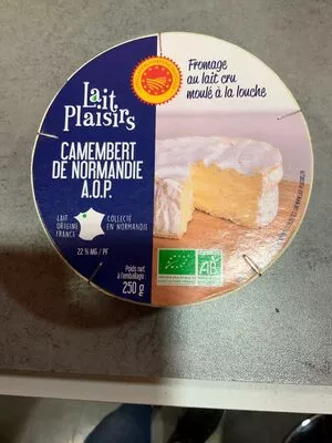 Camembert de la normandie A.O.P. Lait Plaisirs 250.0 g, code 3760099539061