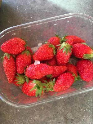 Fraises  , code 3770003542001