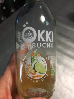 Kombucha Lokki, LÖKKI Kombucha 33 cl, code 3770006064098