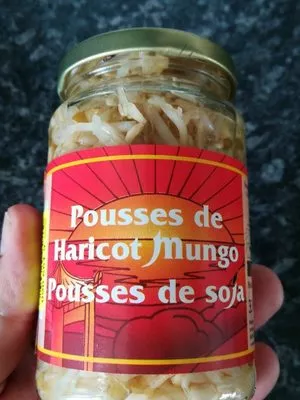 Pousse de haricots mungo (pousse de soja) Minerve , code 61990609