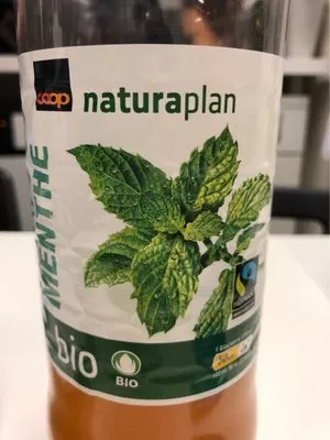 Thé Vert Menthe Coop, Naturaplan 1000 ml, code 7610849679898