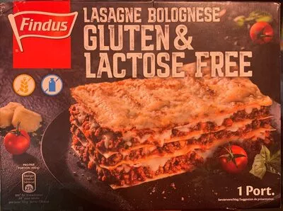 Lasagne bolognese gluten & lactose free Findus 400 g, code 7613036663830