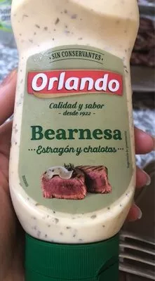 Salsa Bearnesa Orlando 235 ml, code 8410066129126