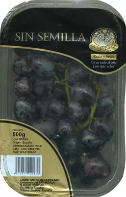 Uva negra sin semilla tarrina La Vendimia 500 g, code 8410171124610