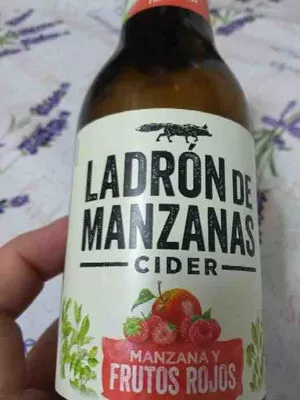 Ladron de manzanas Ladrón de Manzanas 25 cl, code 8410590720066