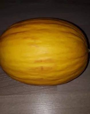 Melon jaune  , code 8435177000065