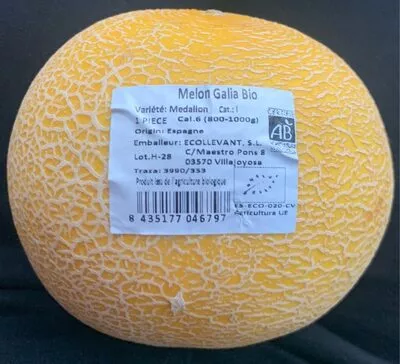 Melon Galia Bio  , code 8435177046797