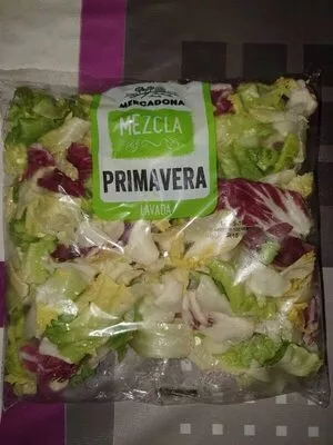 Ensalada primavera Mercadona , code 8437004621030