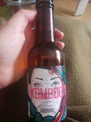 Kombucha jengibre y limón Hacendado , code 8480000285133