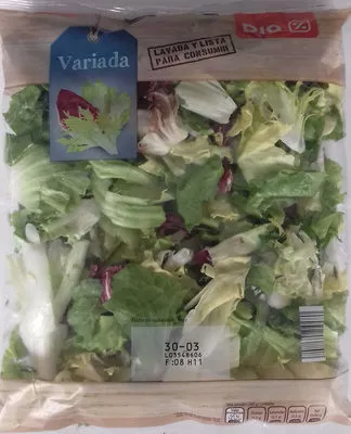 Ensalada variada Dia, Dia - Distribuidora Internacional de Alimentación S.A. 200 g, code 8480017038708