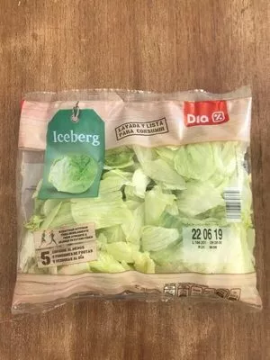 Lechuga iceberg Dia 100 g, code 8480017070364