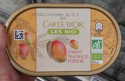 Carte D'or Sorbet Bio Mangue d'Inde Carte D'or 450 ml (300 g), code 8711327331433