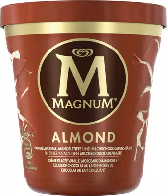 Magnum Glace Pot Vanille Amande Magnum 297 g (440 ml), code 8714100289983