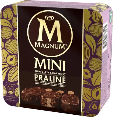 Mini Batonnet Glace Chocolat Praline x6 330 ml Magnum 276 g, code 8714100638415