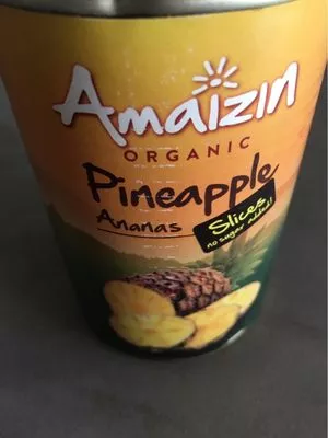 Ananas En Tranches  400 g, code 8717496904300